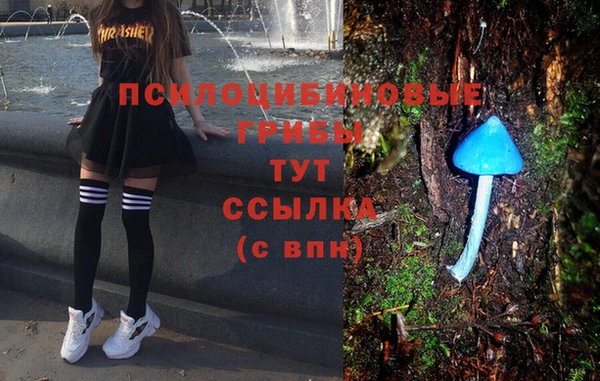 кокс Заводоуковск