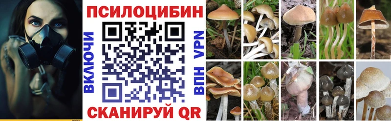 Купить закладки  Хадыженск  Псилоцибиновые грибы ЛСД 