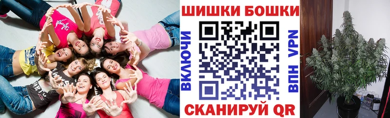 Купить закладки  Хадыженск  Канабис гибрид 